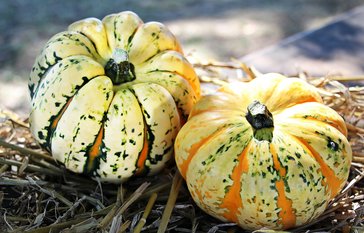Pumpkins