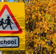 school traffic sign
